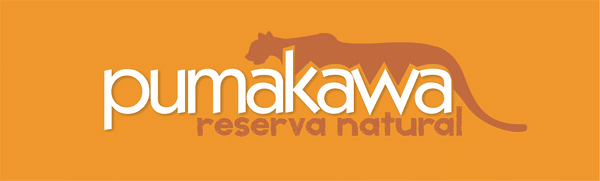 Pumakawa Logo